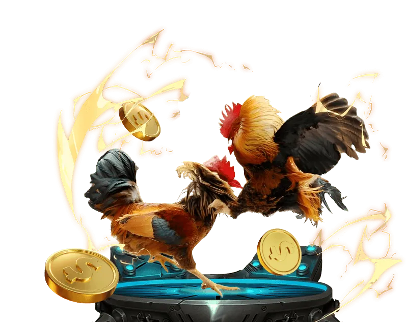 Hoàn trả hàng ngày bắn cá PPG66